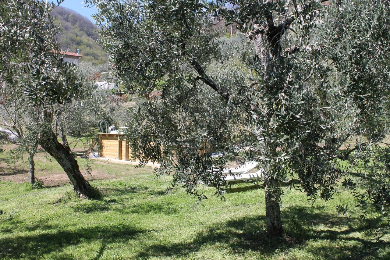 Shaleo Holiday Home Marliana المظهر الخارجي الصورة